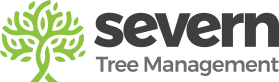 Severn Tree Management