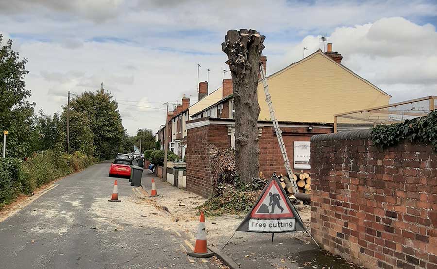 Tree Felling Kidderminster