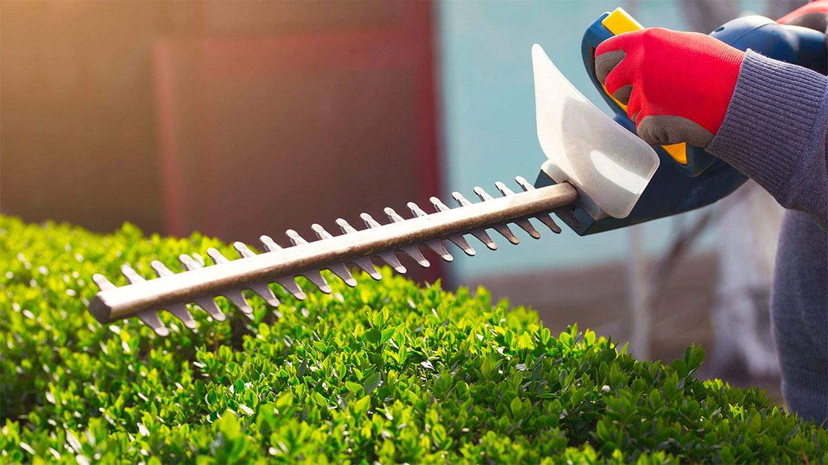 hedge pruning kidderminster